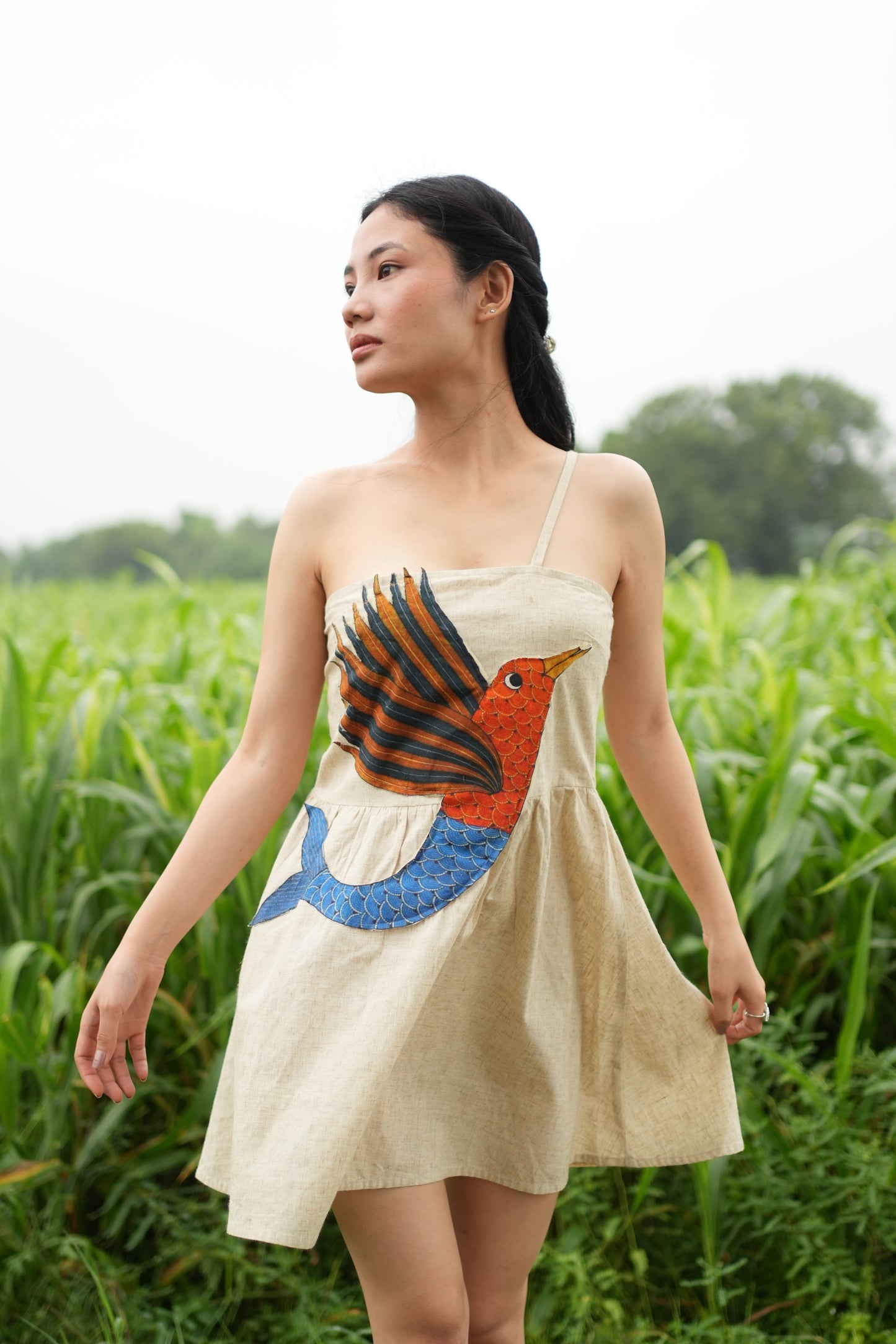Meen-Pankh Dress