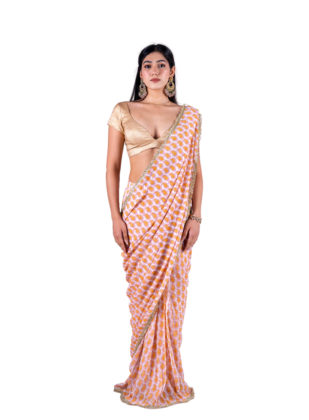 Roshanara Saree with Blouse (Set of 2)