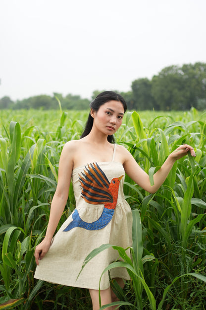 Meen-Pankh Dress