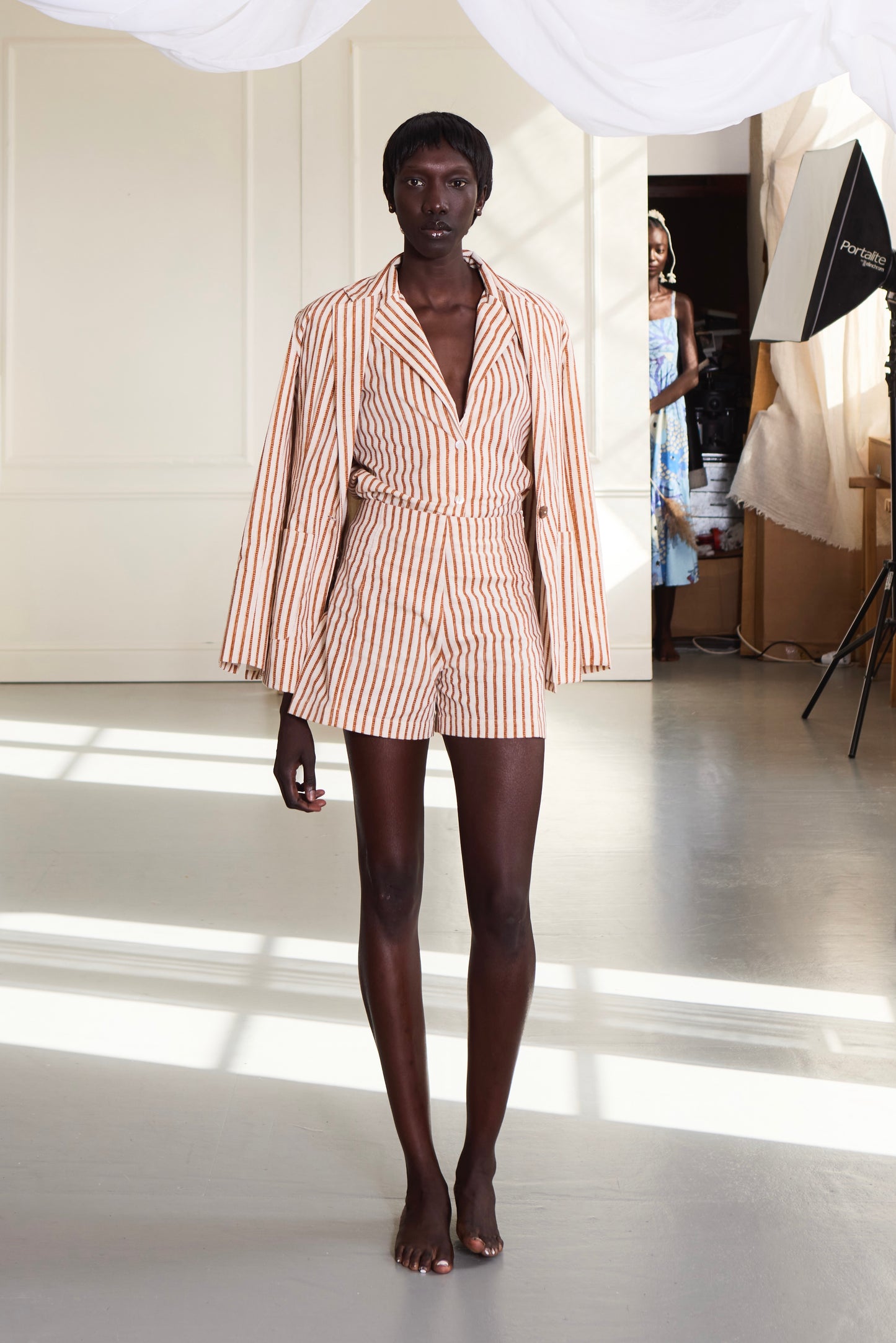 Brown Stripes Blazer